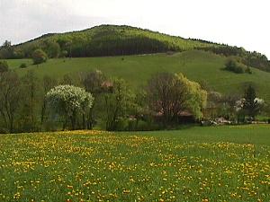 Frhlingswiese- und Wald bei Dornbach