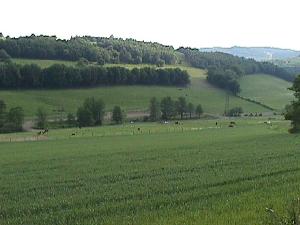 Koppeln in herrlicher Umgebung