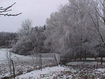 Winter in Grub